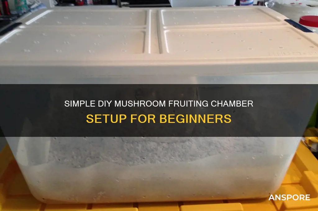 how to make easy mushroom fruiting chamber