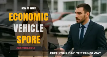 Crafting Affordable Vehicle Spores: A Step-by-Step Economic Guide