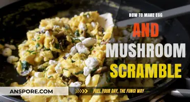 Quick Egg and Mushroom Scramble Recipe for Breakfast Lovers