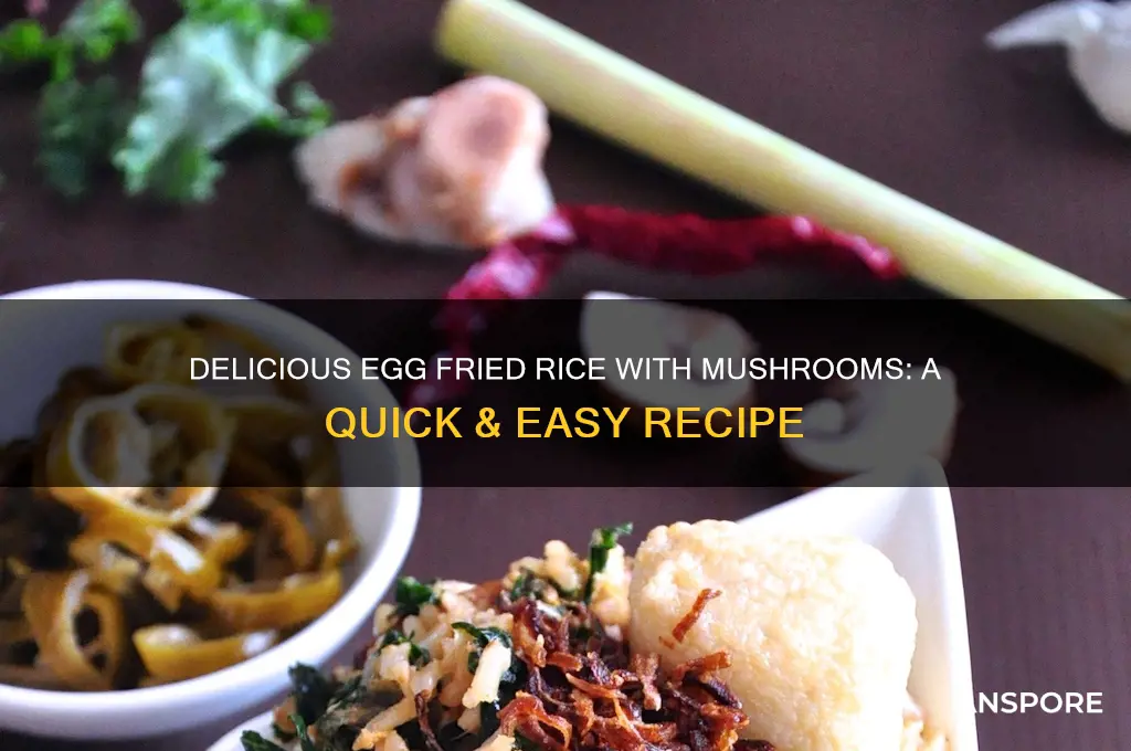how to make egg fried rice with mushrooms