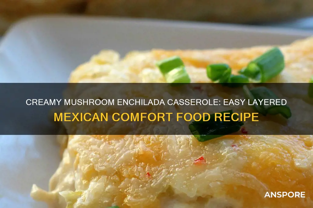 how to make enchilada casserole with cream of mushroom