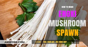 Mastering Enoki Mushroom Spawn: A Step-by-Step Cultivation Guide