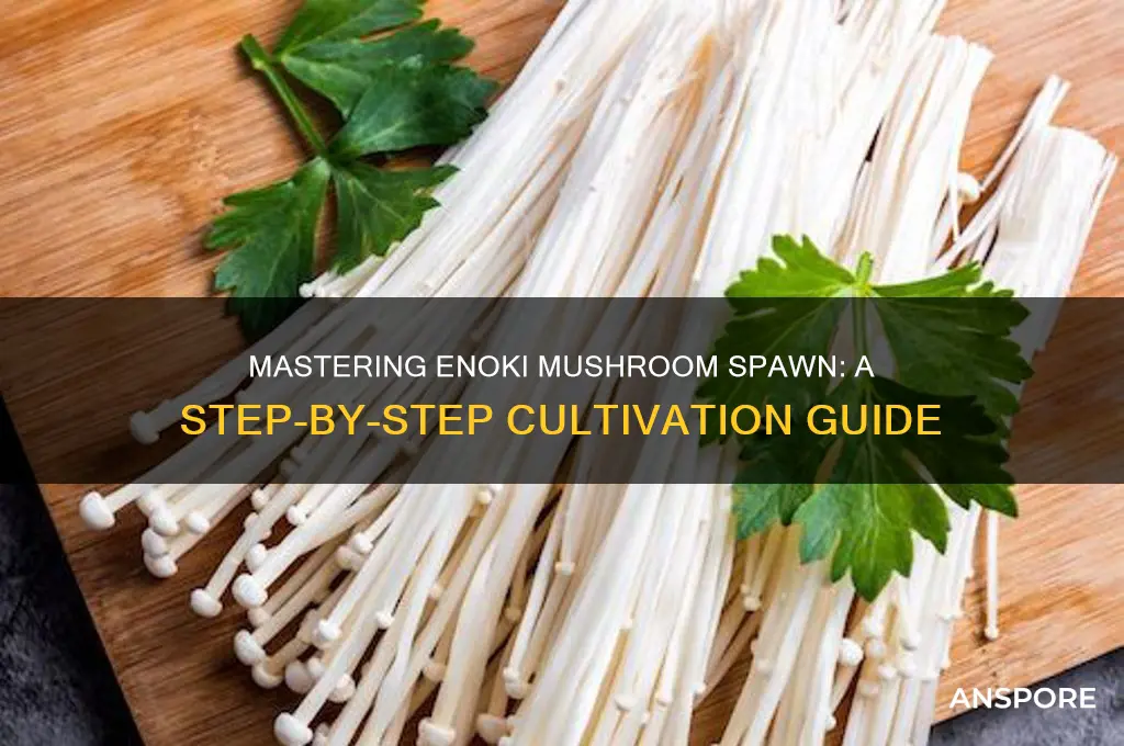 how to make enoki mushroom spawn