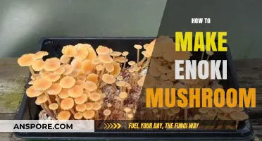 Mastering Enoki Mushrooms: Simple Steps for Perfect Homemade Cultivation