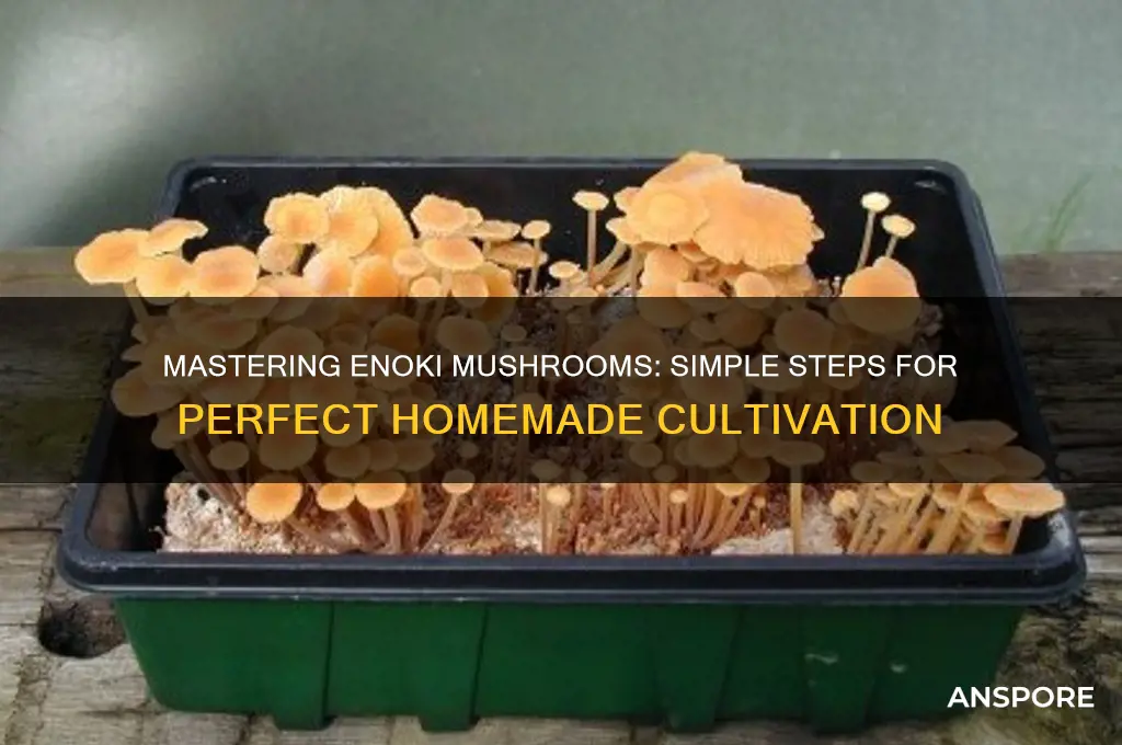 how to make enoki mushroom
