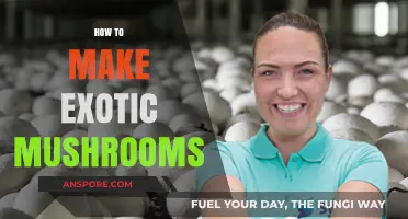 Mastering the Art of Growing Exotic Mushrooms at Home