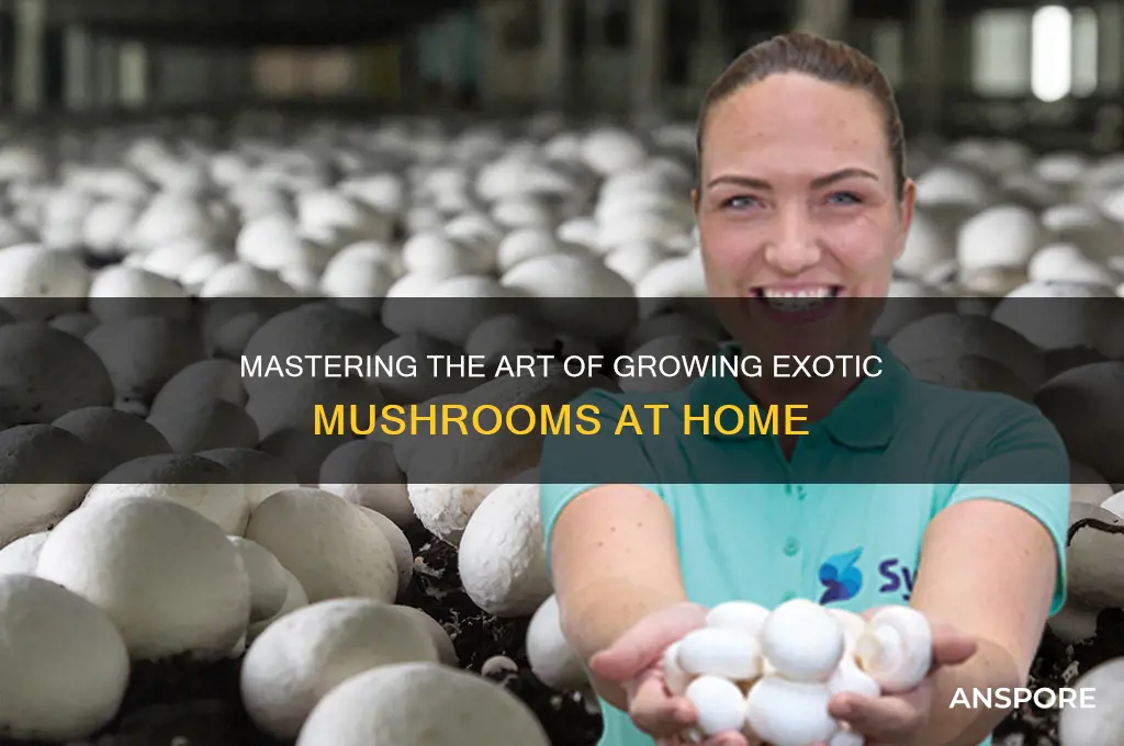 how to make exotic mushrooms