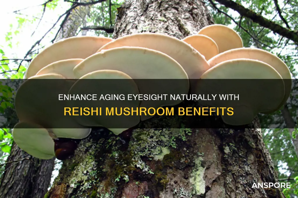 how to make eye sight bettter with aging reish mushroom