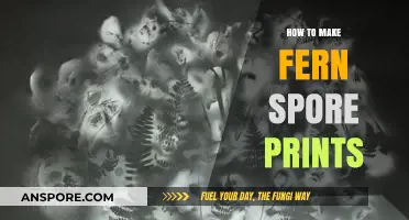 Create Delicate Fern Spore Prints: A Step-by-Step Guide for Nature Enthusiasts