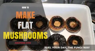 Mastering Flat Mushrooms: Simple Steps for Perfectly Cooked Delights