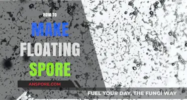 Crafting Floating Spores: A Step-by-Step DIY Guide for Beginners