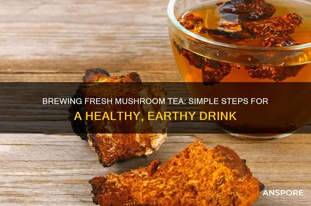 how to make fresh mushroom tea
