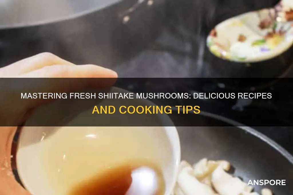 how to make fresh shiitake mushrooms dr