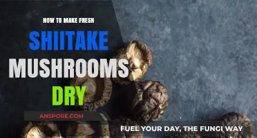 Easy Guide to Drying Fresh Shiitake Mushrooms for Longevity