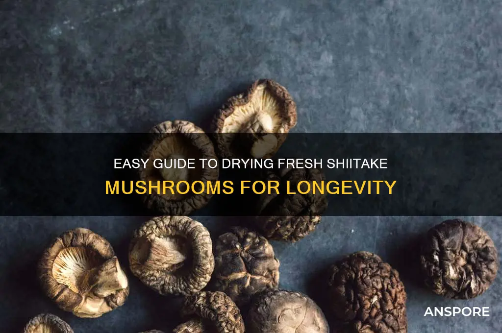 how to make fresh shiitake mushrooms dry