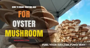 DIY Fruiting Bag Guide: Growing Oyster Mushrooms at Home