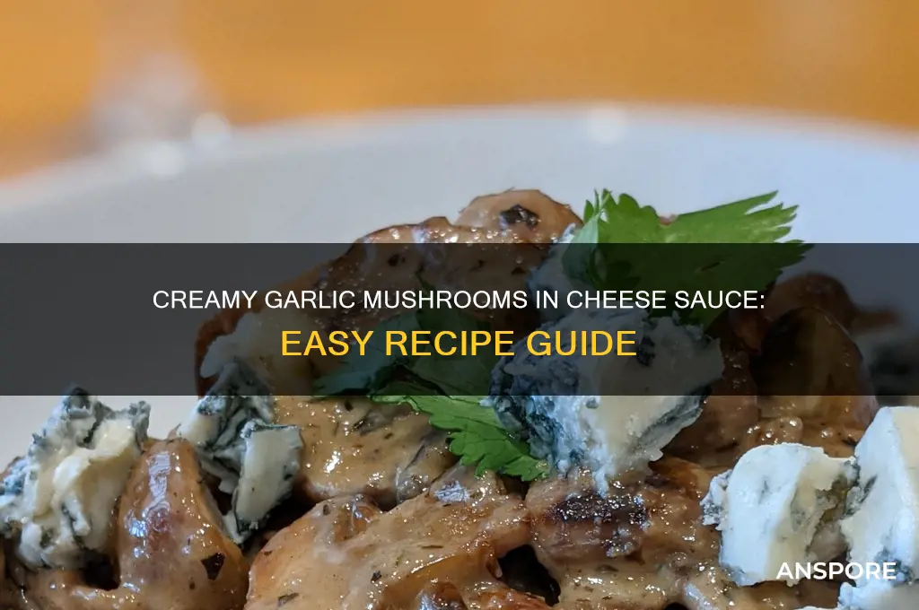 how to make garlic mushrooms in cheese sauce