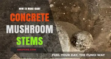 Crafting Giant Concrete Mushroom Stems: A Step-by-Step DIY Guide