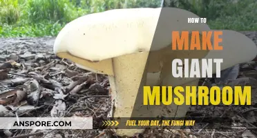 Crafting Colossal Fungi: A Step-by-Step Guide to Growing Giant Mushrooms