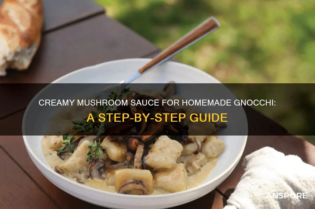 how to make gnocchi mushroom sauce