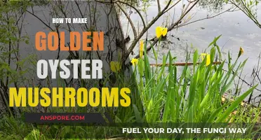 Mastering Golden Oyster Mushrooms: Simple Steps for Perfect Cultivation