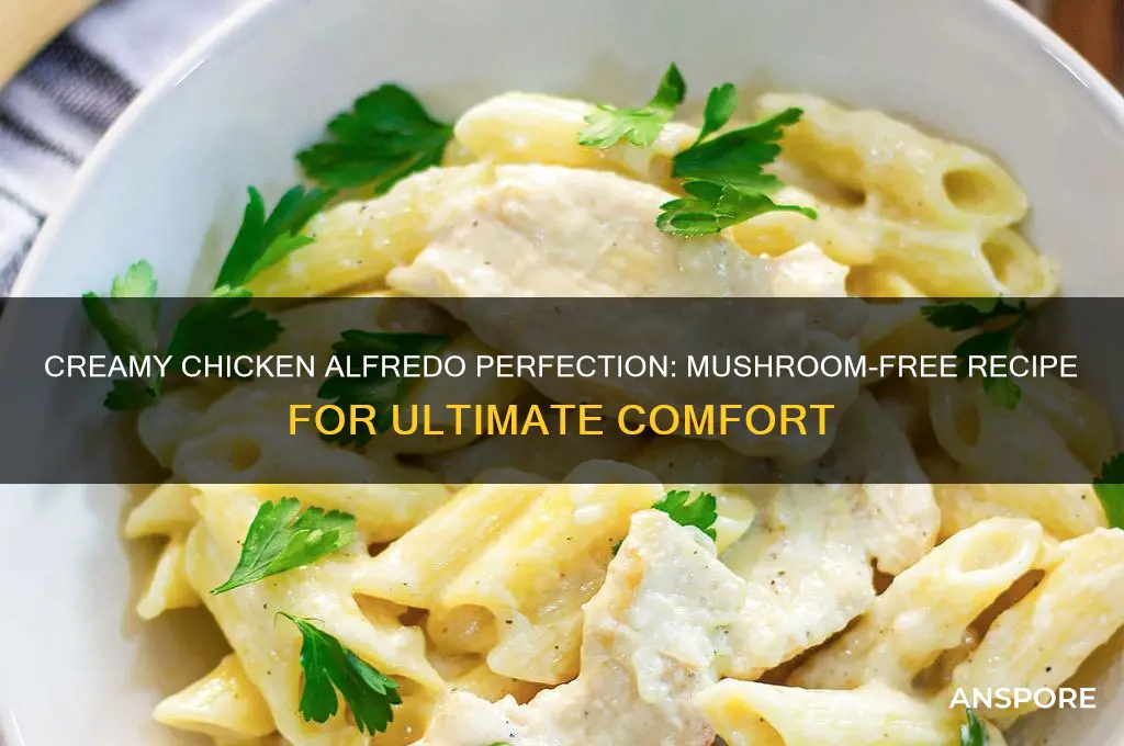 how to make good chicken alfredo without mushrooms