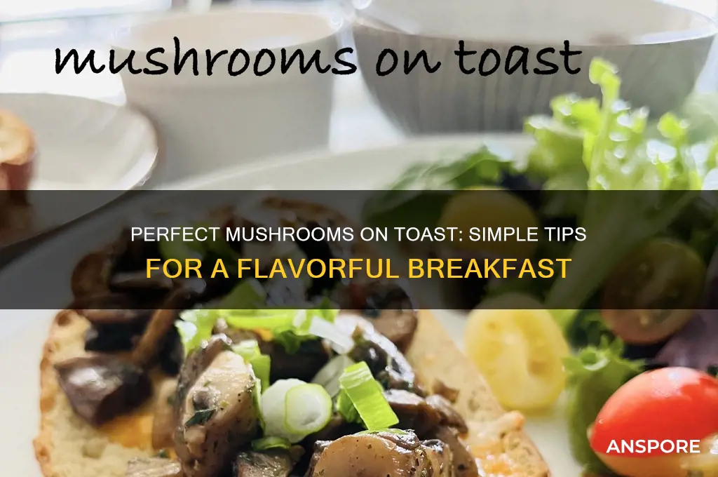 how to make good mushrooms on toast