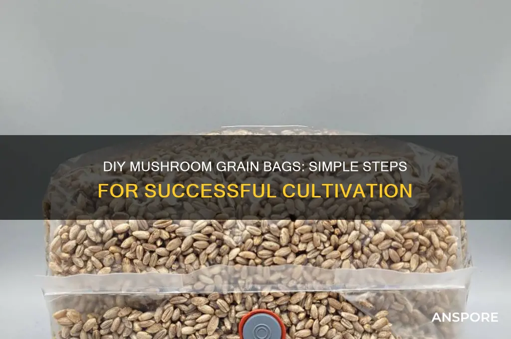how to make grain bags for mushrooms