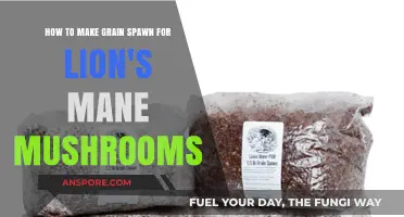 Mastering Grain Spawn: A Guide to Growing Lion's Mane Mushrooms