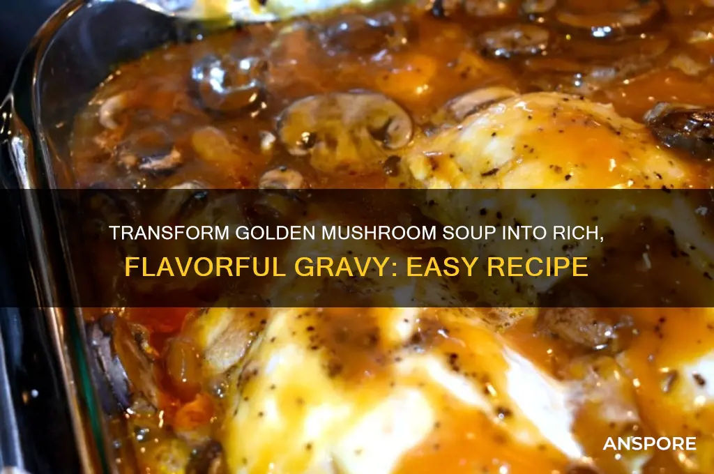 how to make gravy out of golden mushroom soup