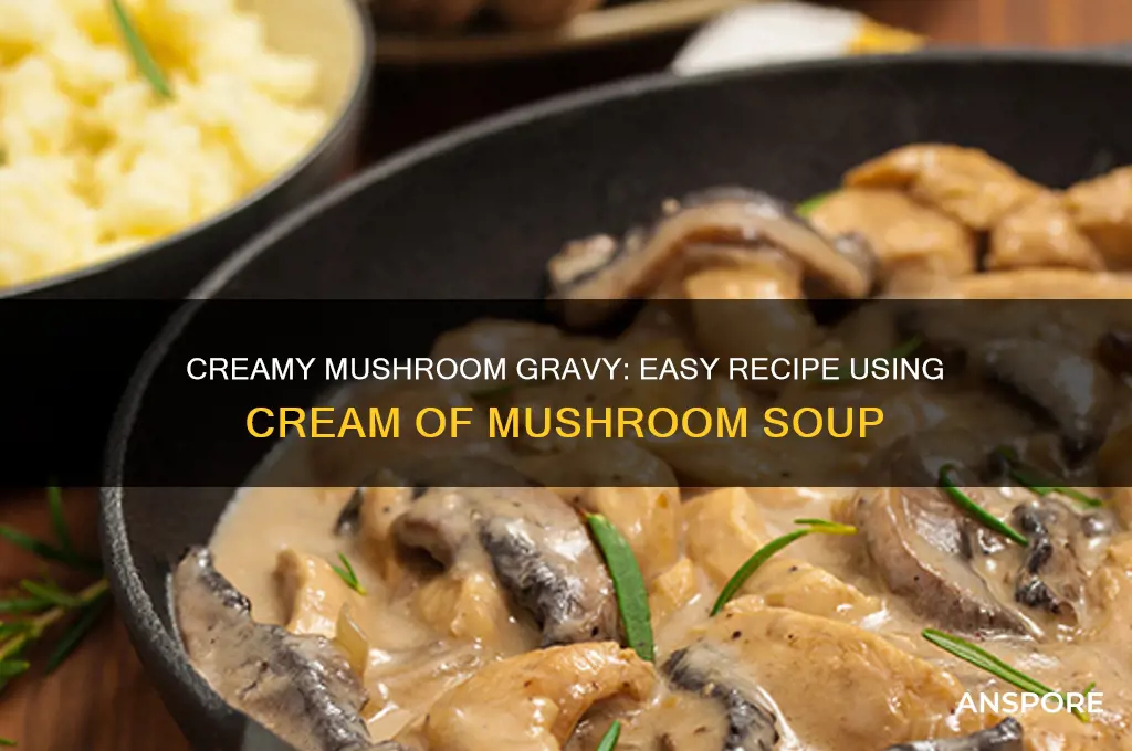 how to make gravy using cream of mushroom soup