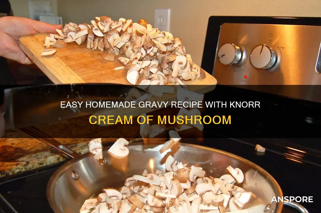 how to make gravy using knorr cream of mushroom