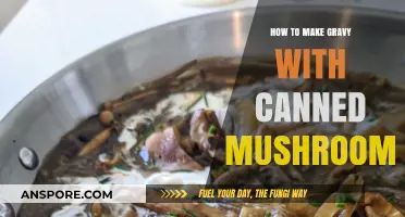 Easy Homemade Gravy Recipe Using Canned Mushrooms for Flavorful Meals