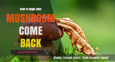 Reviving Green Mushrooms: Simple Steps to Restore Their Growth