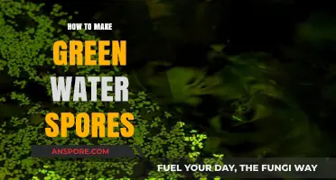 Crafting Green Water Spores: A Step-by-Step DIY Guide