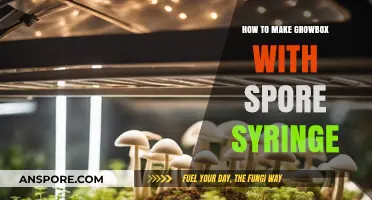 DIY Growbox Setup: Using Spore Syringes for Successful Cultivation