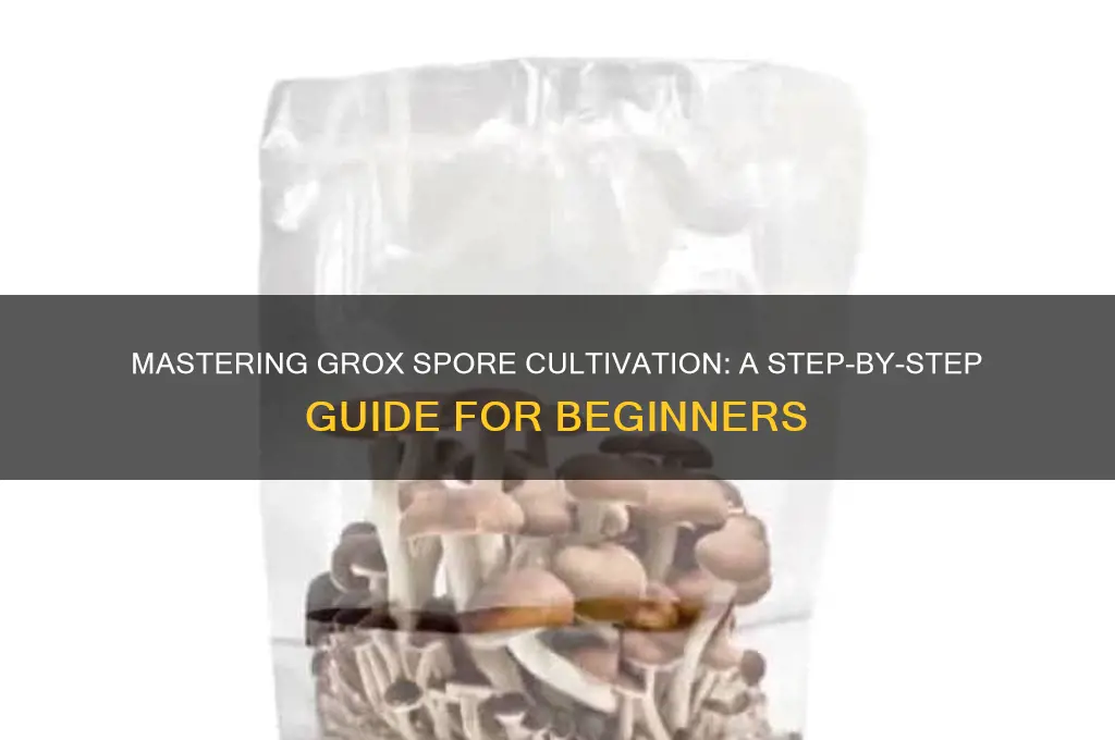how to make grox spore