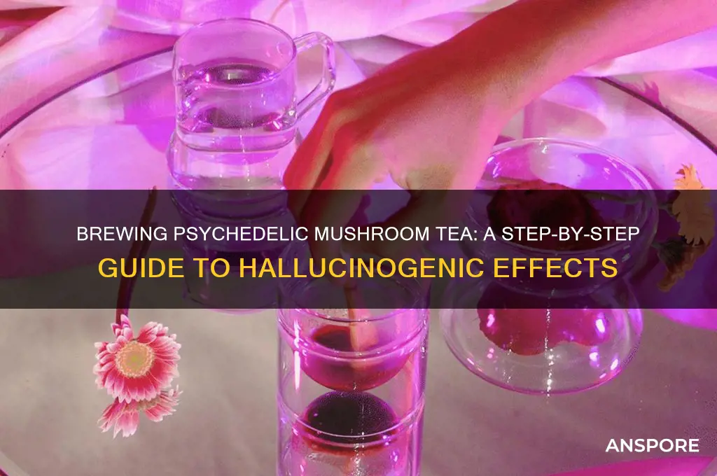 how to make hallucinogenic mushroom tea
