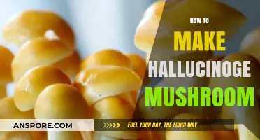 Crafting Psychedelic Experiences: A Guide to Growing Hallucinogenic Mushrooms