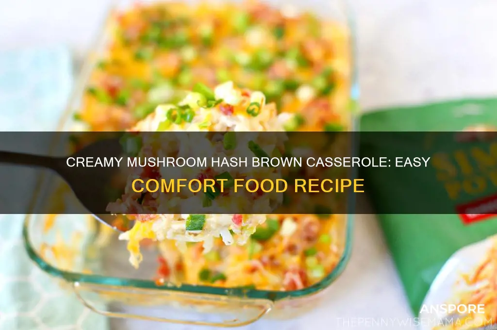 how to make hash brown casserole with cream of mushroom
