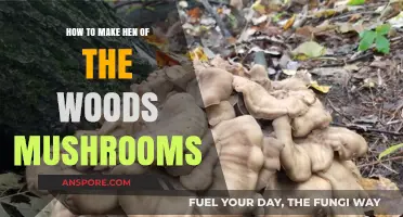 Mastering Hen of the Woods: A Step-by-Step Mushroom Growing Guide