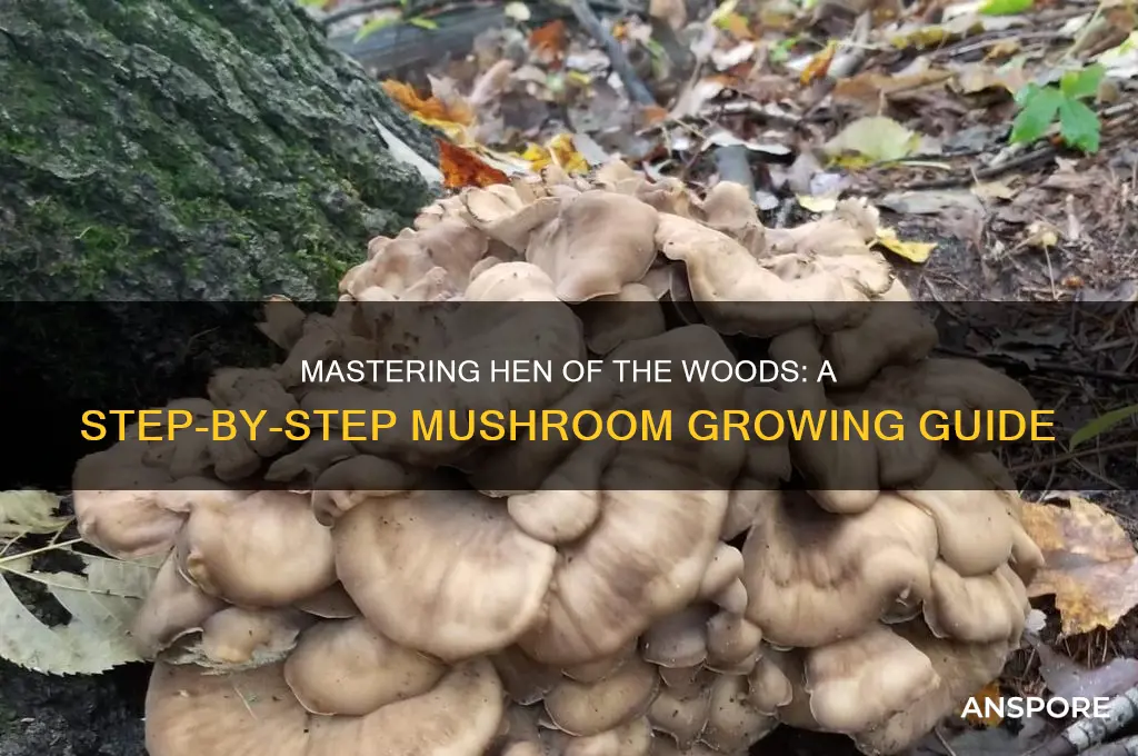 how to make hen of the woods mushrooms