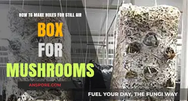 DIY Mushroom Still Air Box: Drilling Perfect Holes for Optimal Growth