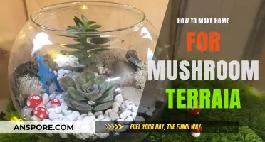 Crafting the Perfect Mushroom Terrarium: A Step-by-Step Guide