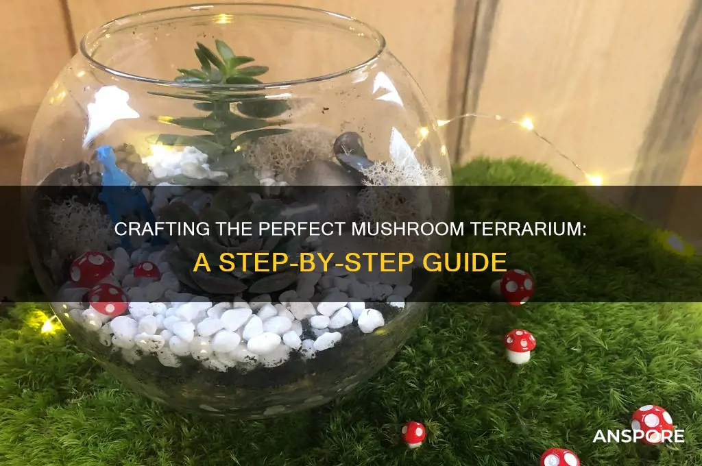 how to make home for mushroom terraia