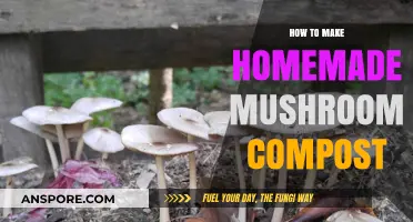 Crafting Nutrient-Rich Mushroom Compost at Home: A Simple Guide
