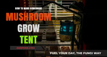 DIY Mushroom Grow Tent: Simple Steps for Homegrown Fungi Success