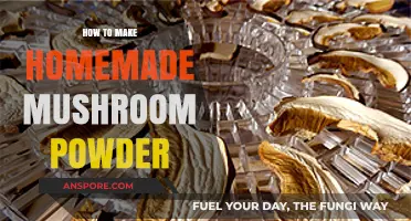 Crafting Flavorful Homemade Mushroom Powder: A Simple DIY Guide