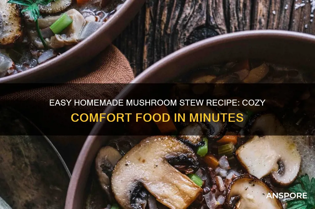 how to make homemade mushroom stew