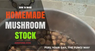 Crafting Rich Homemade Mushroom Stock: Simple Steps for Flavorful Broth